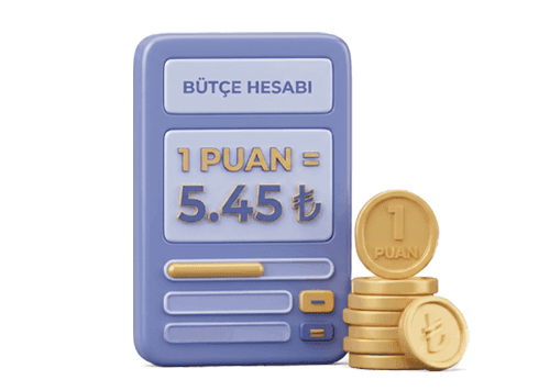 Budgetplaner für Treueprogramme