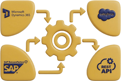 Datenanalyse & CRM-Integration